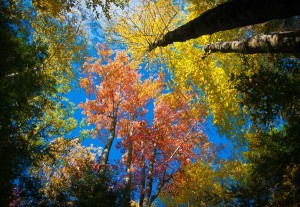 Plymouth-Vermont-Fall-Foliage-300x207.jpg